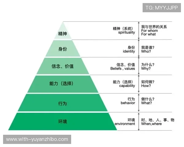霍伊伦心里阴影面积逐渐扩大分析及其心理影响因素的深度剖析